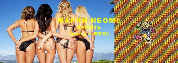 индика Абаза