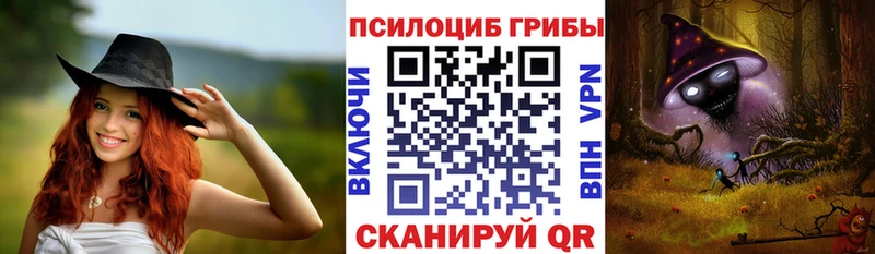 купить наркотики сайты Карабулак Псилоцибиновые грибы мухоморы